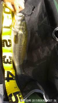 �֥�å��Х�