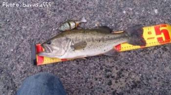 �֥�å��Х�