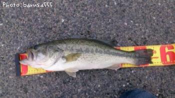 �֥�å��Х�