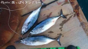 ���ޥ��ĥ�