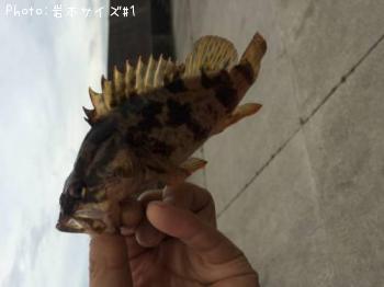 �����Υ���Х�