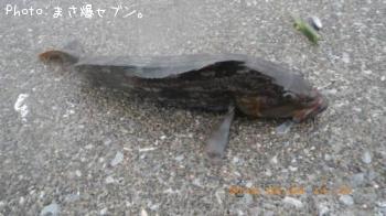 �����ʥ�