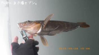 �����ʥ�