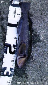 �ߥˡ������ʥ�