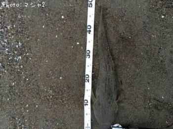 �ޥ���