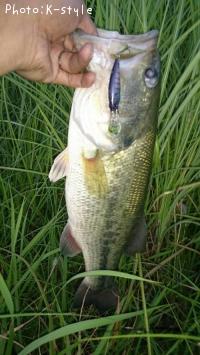 �֥�å��Х���