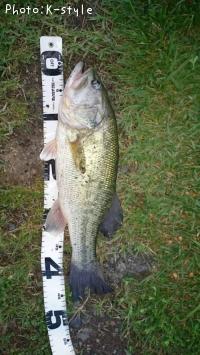 �֥�å��Х���