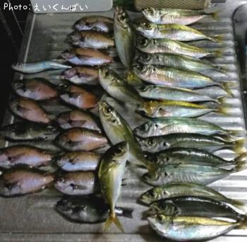 ¥¢¥¸¥´¤È¥¹¥º¥á¥À¥¤