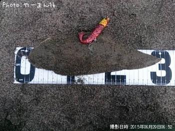 ¥·¥¿¥Ó¥é¥á