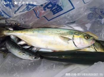 ¥ï¥«¥¹¥£¡¼