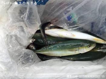 ¥ï¥«¥¹¥£¡¼