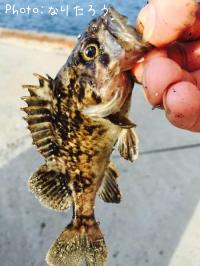 ¥¯¥í¥½¥¤¡©