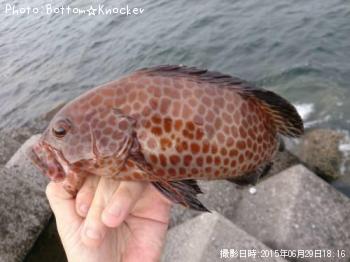 �������ϥ�