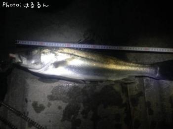 �����Х�