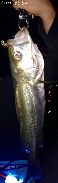 �����Х�