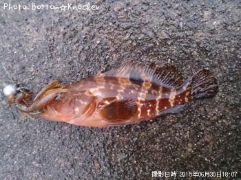 �����ϥ�