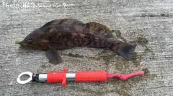 �����ʥ�