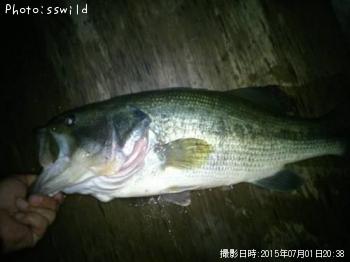 �֥�å��Х�