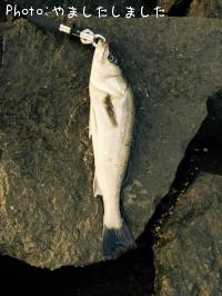 �����Х�