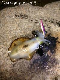 �����ꥤ��