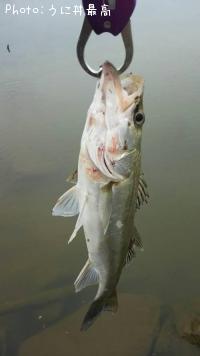 �����Х�