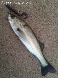 �����Х�