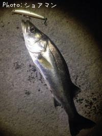 �����Х�