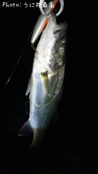 �����Х�