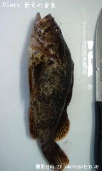 ¥Ù¥Ã¥³¥¦¥¾¥¤