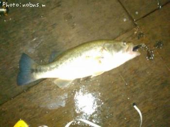 �֥�å��Х�