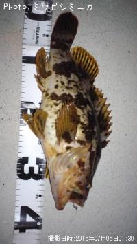 �����Υ���Х�