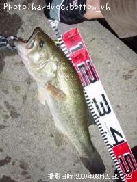 �֥�å��Х�