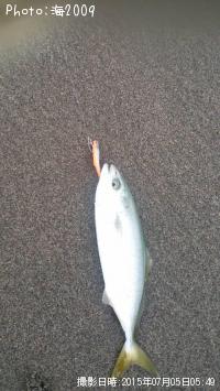 �����å�