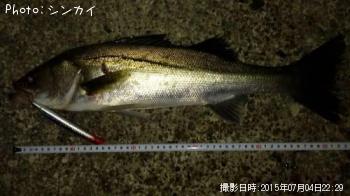 �����Х�