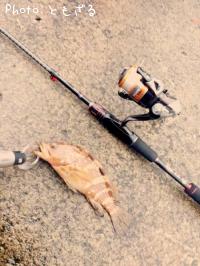 �����ϥ�