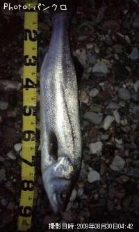 �����Х�