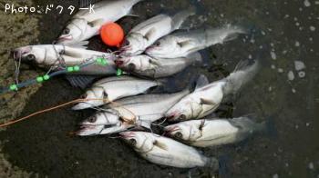 �����Х�