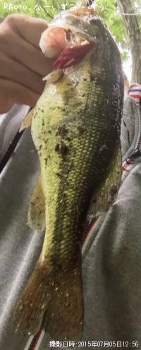 �֥�å��Х�