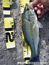 ¥Ö¥é¥Ã¥¯¥Ð¥¹