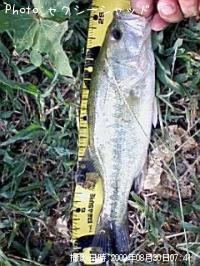 �֥�å��Х�