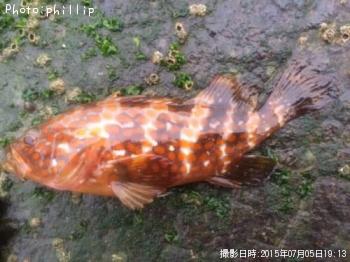 �����ϥ�