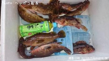 �����ϥ�