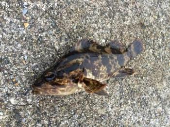 �����Υ���Х�