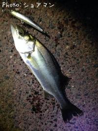 �����Х�