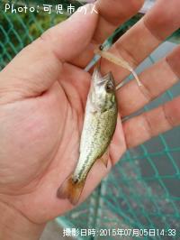 �֥�å��Х�