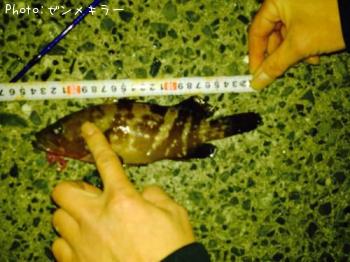 �����ϥ�