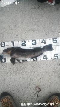 �����ʥ�