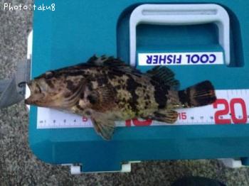 �����Υ���Х�