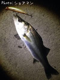 �����Х�