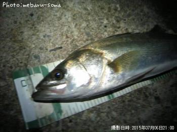 �����Х�